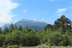 IMG_2565-Cerro-Impodi-2100m