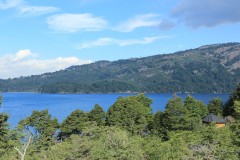 IMG_2568