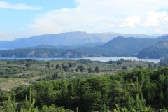 IMG_2570
