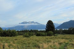 IMG_2579
