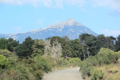 IMG_2586