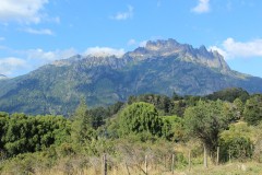 IMG_2587