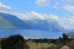 IMG_2597