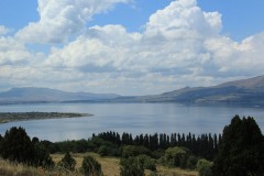 IMG_2599