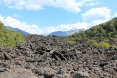 IMG_2617-Lago-Epulafquen-Volcán-Achen-Ňiyeu