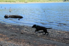 IMG_2632
