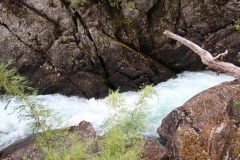 IMG_2964-Safari-Lacustre