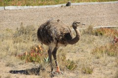 IMG_3304-Punta-Cántor