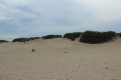 IMG_3521-Mar-de-las-Pampas
