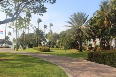 IMG_4041-Aruba-Oranjestad-Wilhelmina-Parc