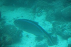 IMG_4072