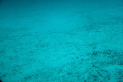 IMG_4096