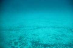 IMG_4097