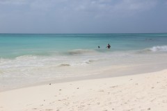 IMG_4108