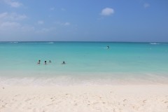 IMG_4113