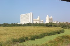 IMG_4147