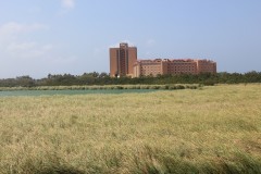 IMG_4148