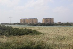 IMG_4149