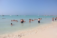 IMG_4154