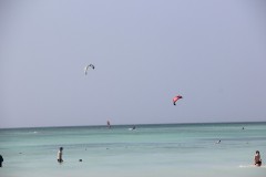 IMG_4161