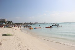 IMG_4162