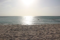 IMG_4175