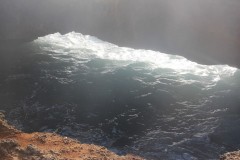IMG_4206