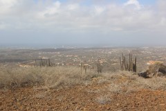 IMG_4217-Cerro-Arikok-176m