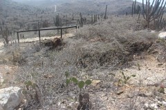 IMG_4222-Miramar-Mine