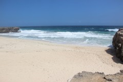 IMG_4237-Dos-Playa-Beach