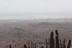 IMG_4268