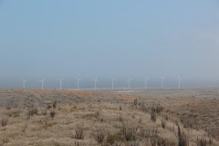 IMG_4270-Arikok-NP