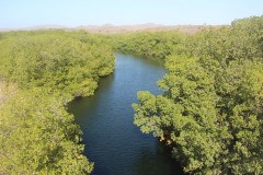 IMG_4280-Spanish-Lagoon