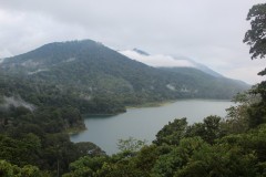 fotky-Indonésie-2013-517-Danau-Tamblingan