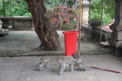 fotky-Indonésie-2013-557-Pemuteran-Pura-Agung-Pulaki