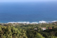 IMG_2100