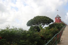 IMG_2233
