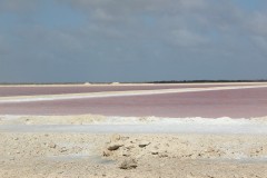 IMG_4285