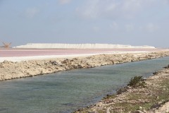 IMG_4287