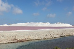 IMG_4289