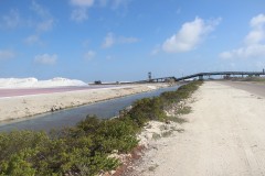 IMG_4294