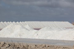 IMG_4301