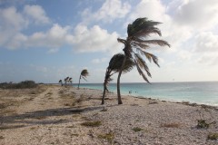 IMG_4302-Witte-Pan