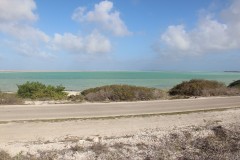 IMG_4307