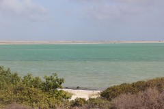 IMG_4308