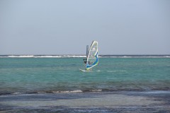 IMG_4336