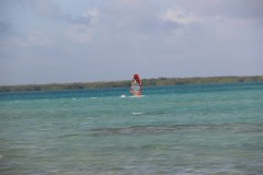 IMG_4337