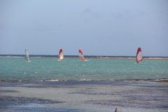 IMG_4338