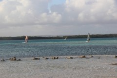 IMG_4339
