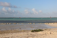 IMG_4340
